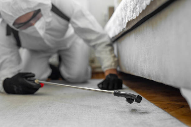 Professional Pest Control technician working in Marshall County County, IN